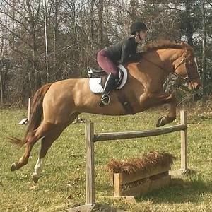 Meet your Posher, Audra